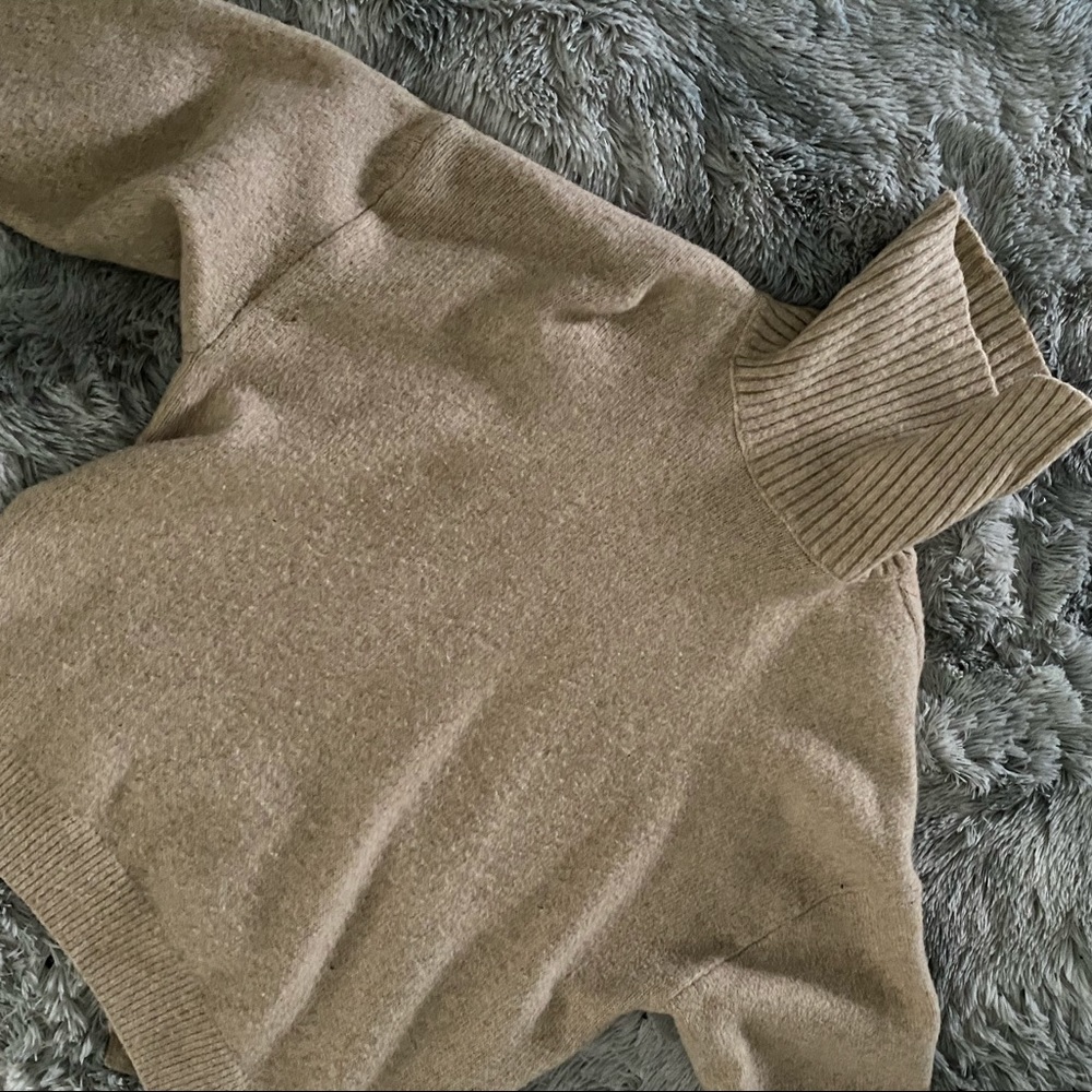 Beige Turtle Neck
